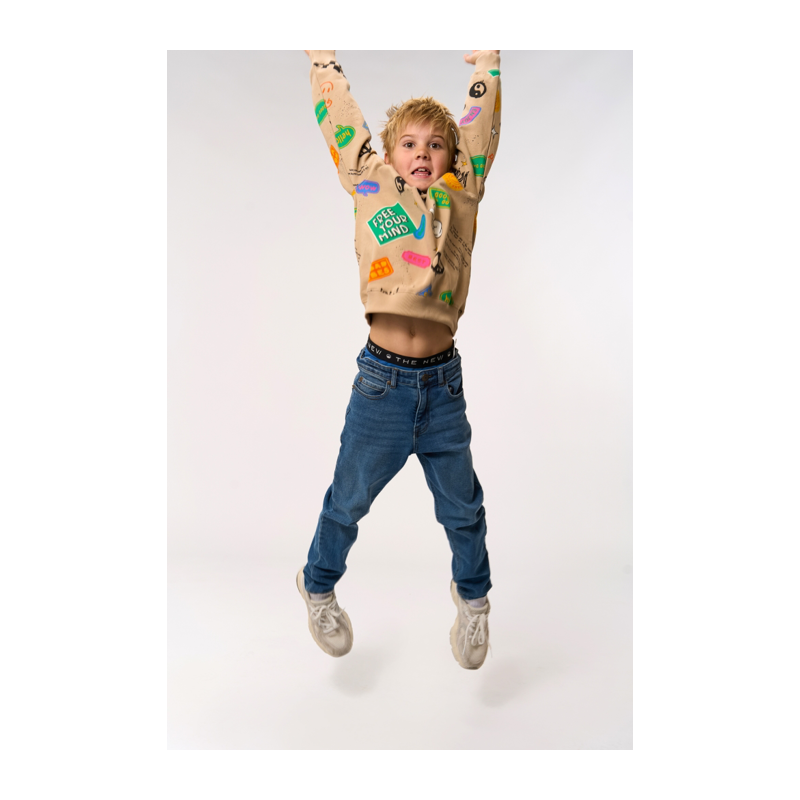 Sweatshirt The New beige