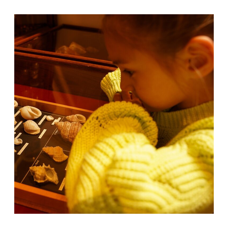 Pullover Koko noko grün