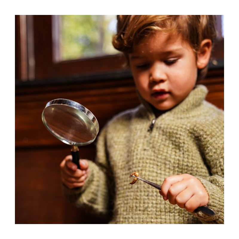 Pullover Koko noko oliv