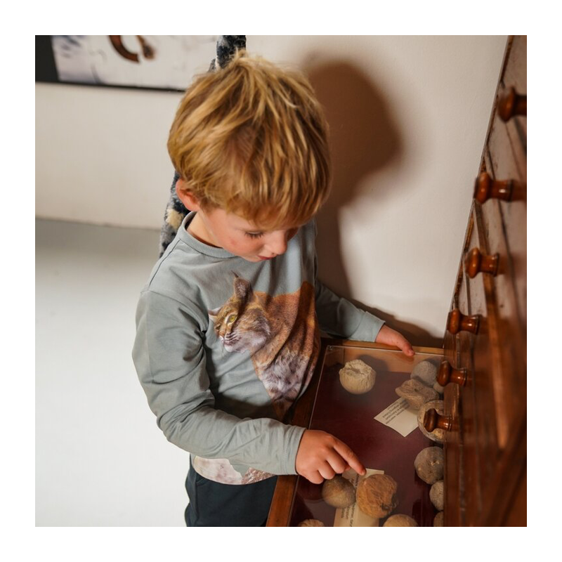 Shirt Koko noko blau