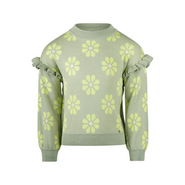 Pullover Koko noko grün