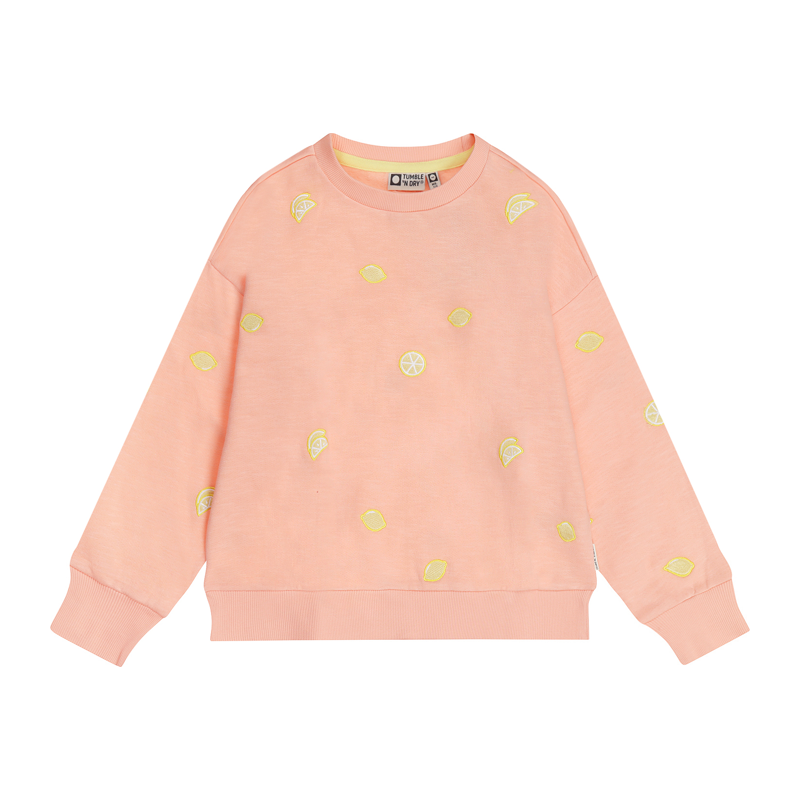 Sweatshirt Tumble´n dry orange