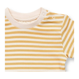 Body Sense Organics gestreift