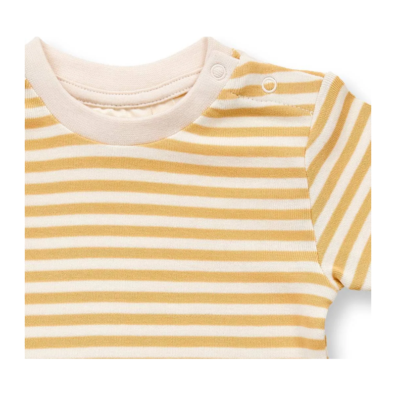 Body Sense Organics gestreift