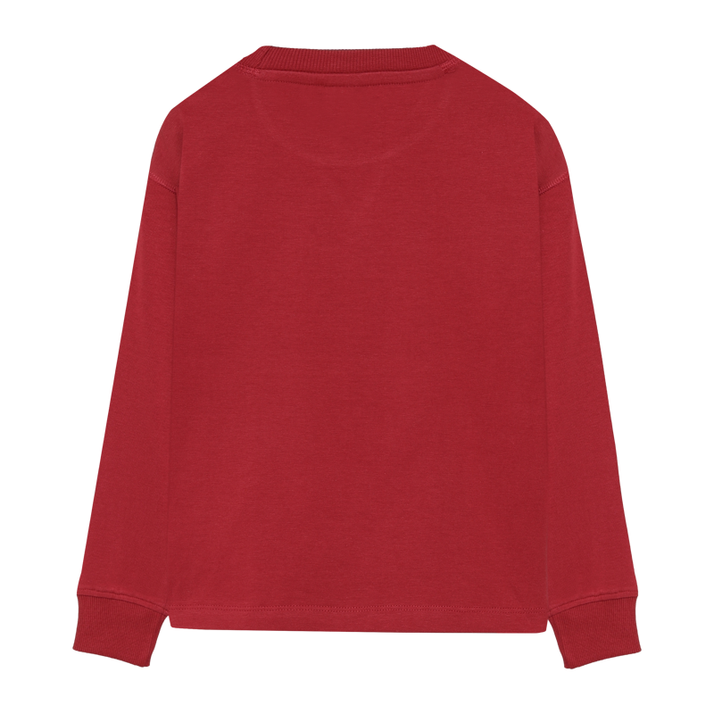 Shirt Daily Seven rot