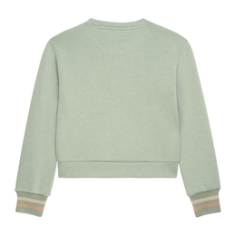 Sweatshirt Danamade mint