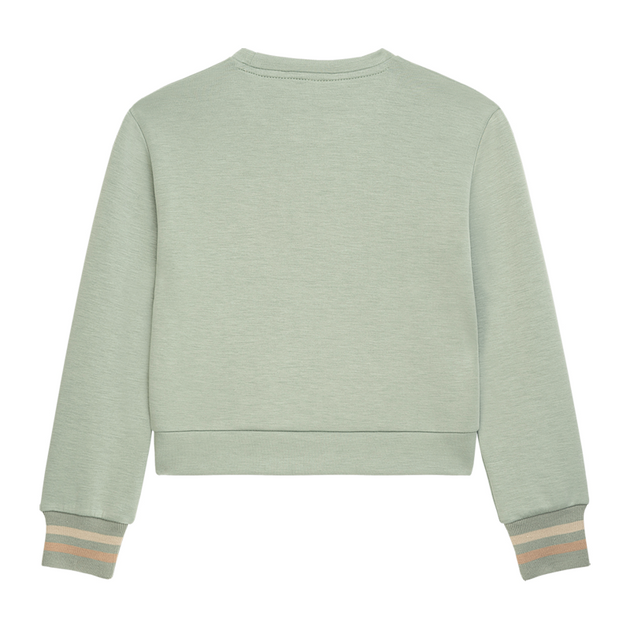 Sweatshirt Danamade mint