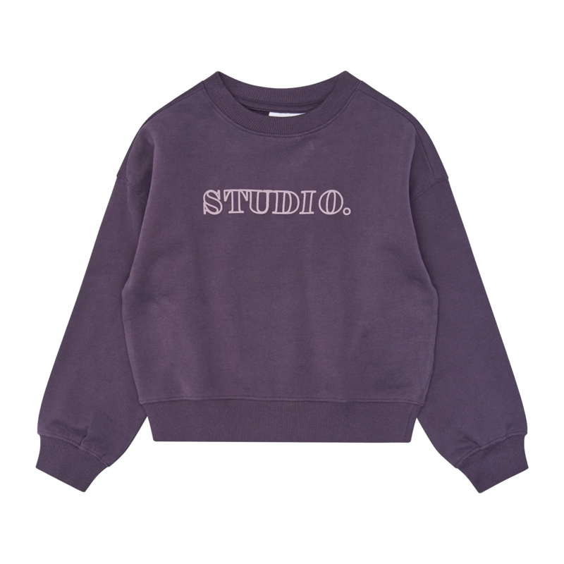 Sweatshirt The New lila