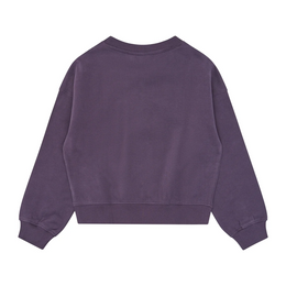 Sweatshirt The New lila