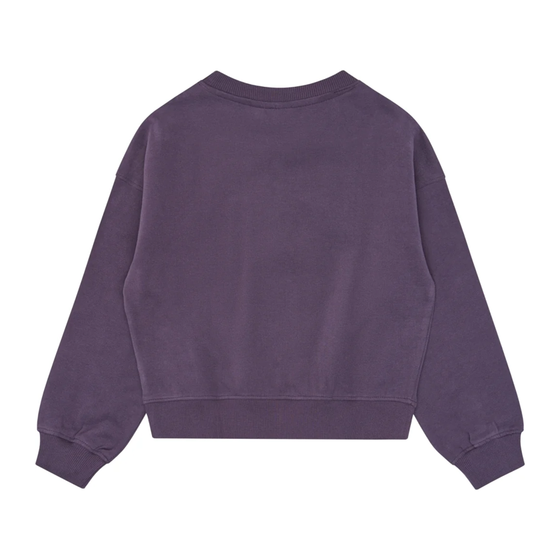 Sweatshirt The New lila