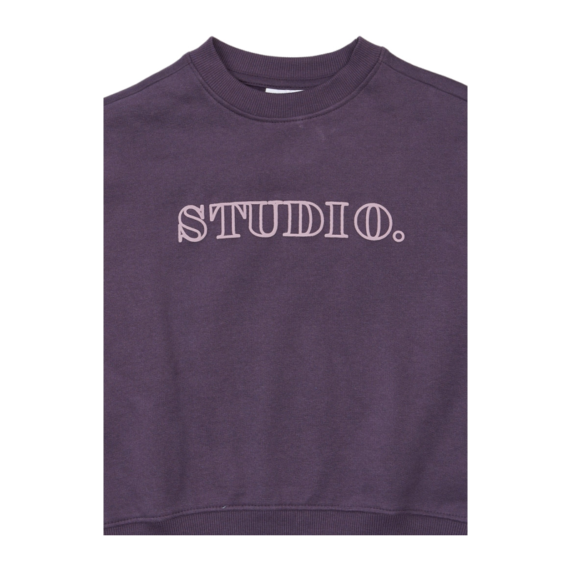 Sweatshirt The New lila