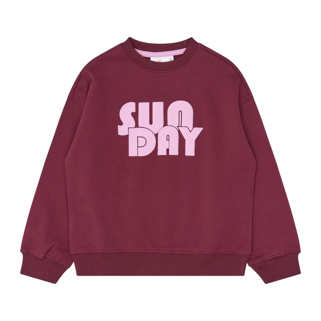 Sweatshirt The New bordeaux