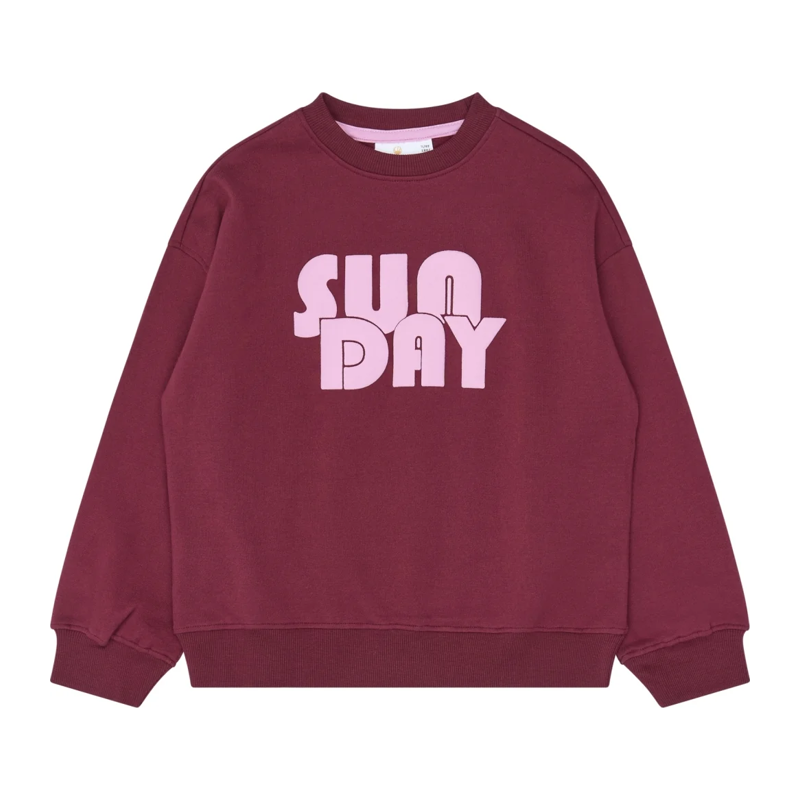 Sweatshirt The New bordeaux