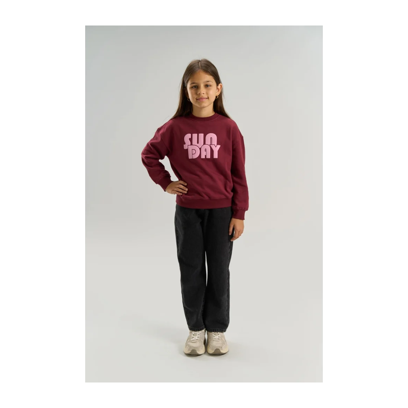 Sweatshirt The New bordeaux