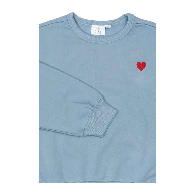 Sweatshirt The New hellblau