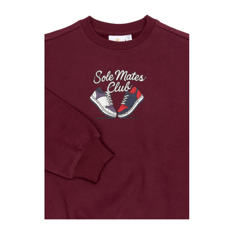 Sweatshirt The New bordeaux