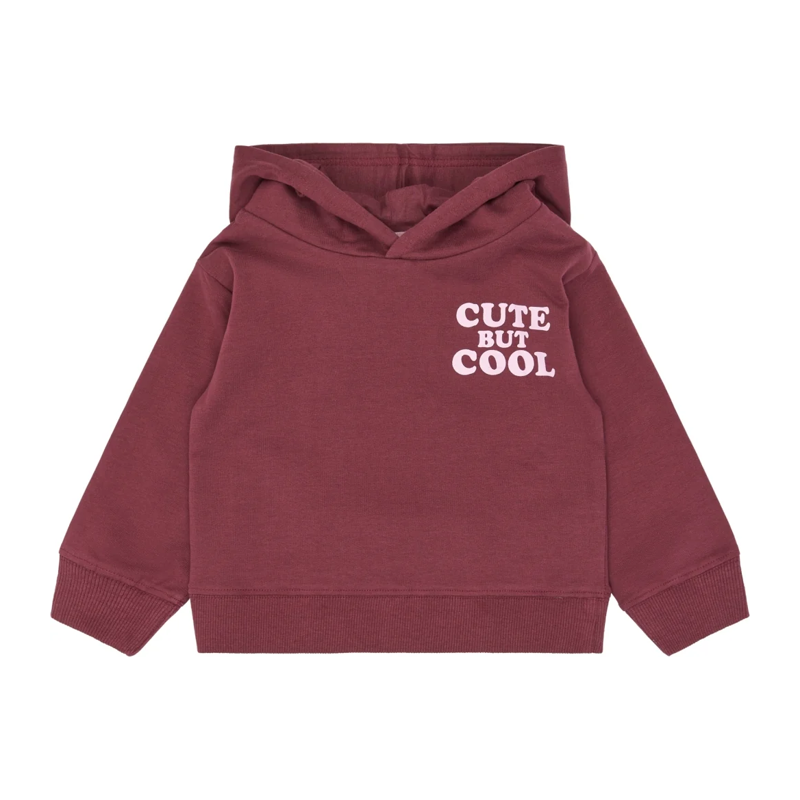 Pullover The New bordeaux