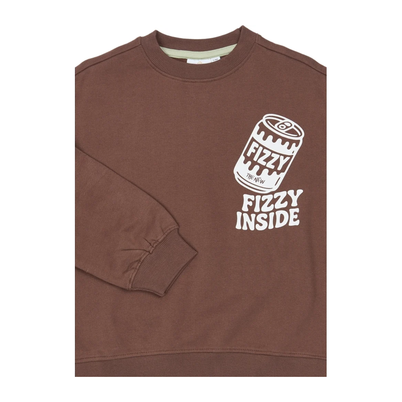Sweatshirt The New braun