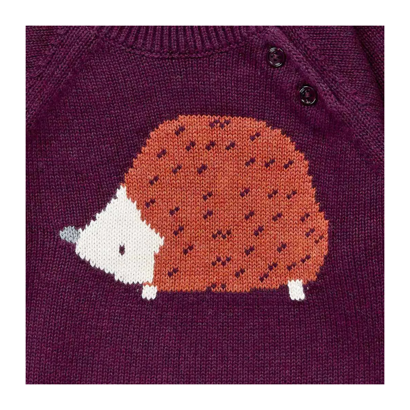 Baby Pullover Sense Organics bordeaux